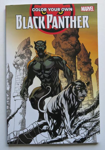 Color Your Own Black Panther Marvel Coloring Book