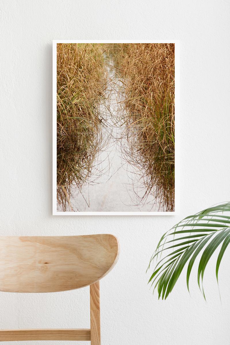 Art Print - Marsh picture