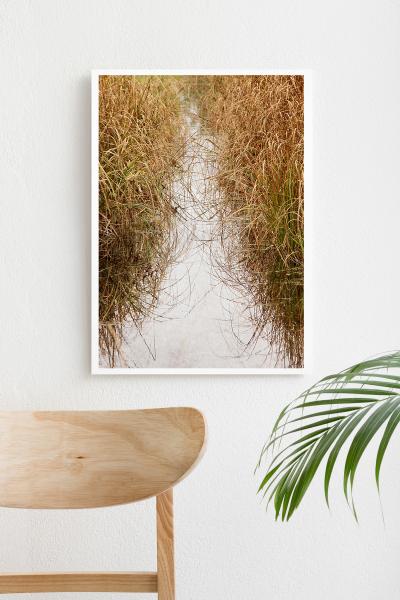 Art Print - Marsh picture