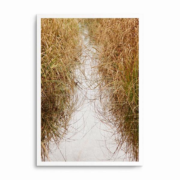 Art Print - Marsh picture