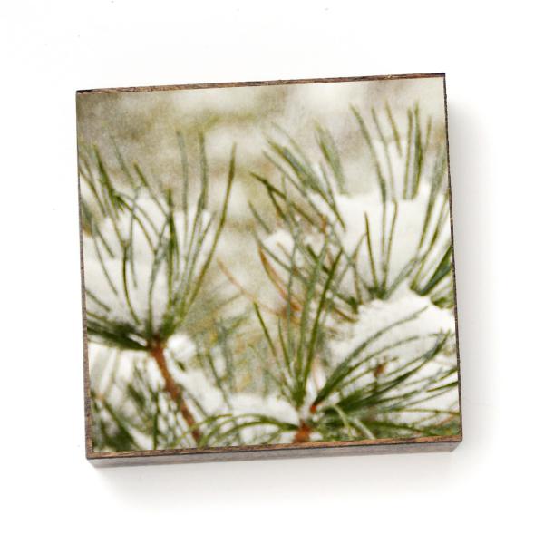 Snowy Pines - Print on Wood