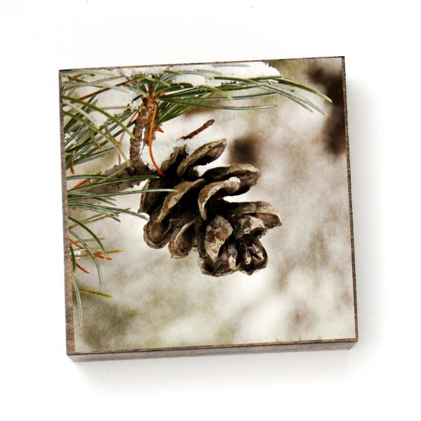 Pinecone - Print on Wood picture