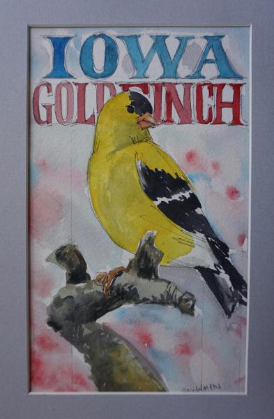 Iowa Goldfinch picture