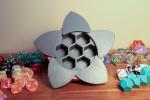 Aperture Dice Box - Grey Body and Petals with Coral ring