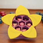 Aperture Dice Box - Purple with Yellow Petals