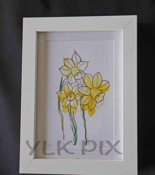 Daffodil