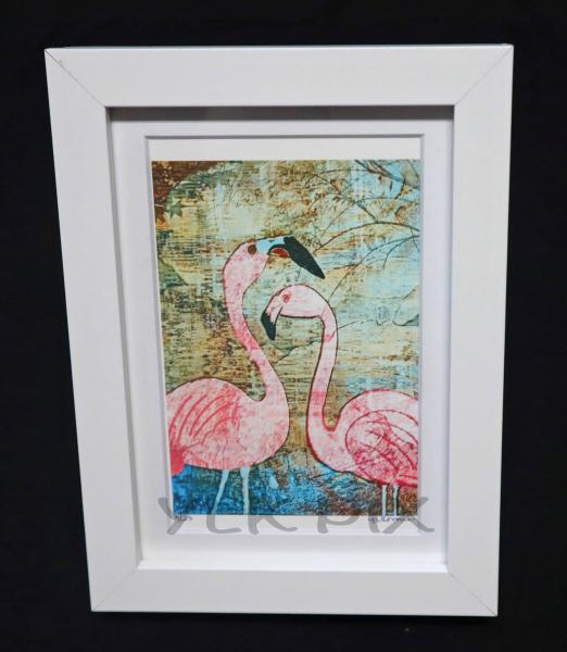 Flamingo