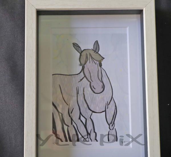 Pink Wild Horse