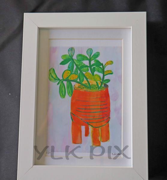 Succulent Plant