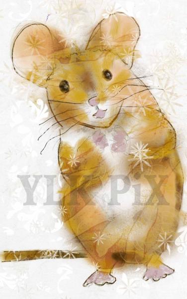 Mouse