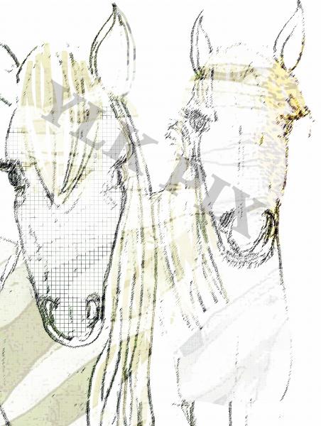 Horses