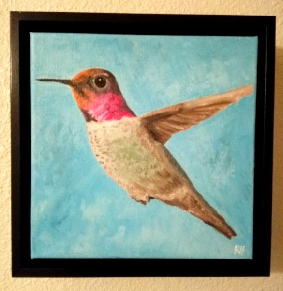 Hummingbird picture