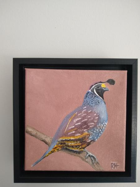 Quail picture