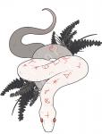 Snake Charm