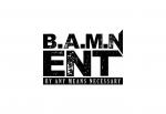 B.A.M.N ENT LLC