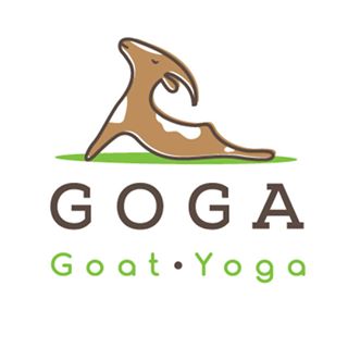 LOVE GOGA LLC