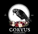 Corvus Curiosities