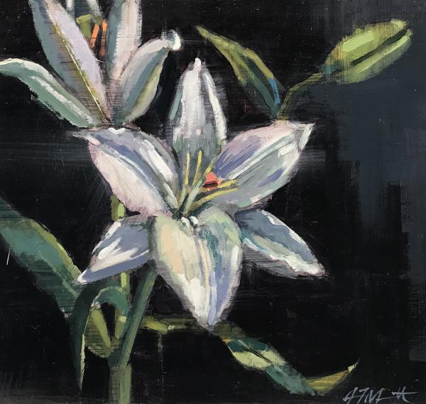 Easter Lily, 8x8", oil on panel picture