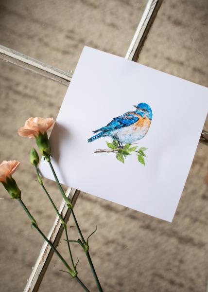 Bluebird Print picture