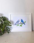 Bluebird Pair 8x10" Print