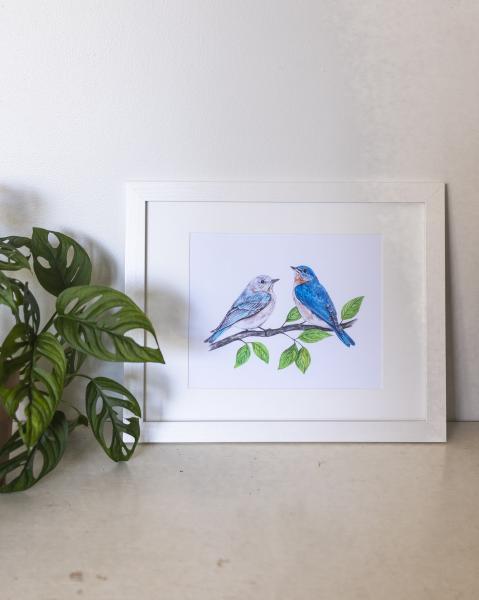 Bluebird Pair 8x10" Print picture