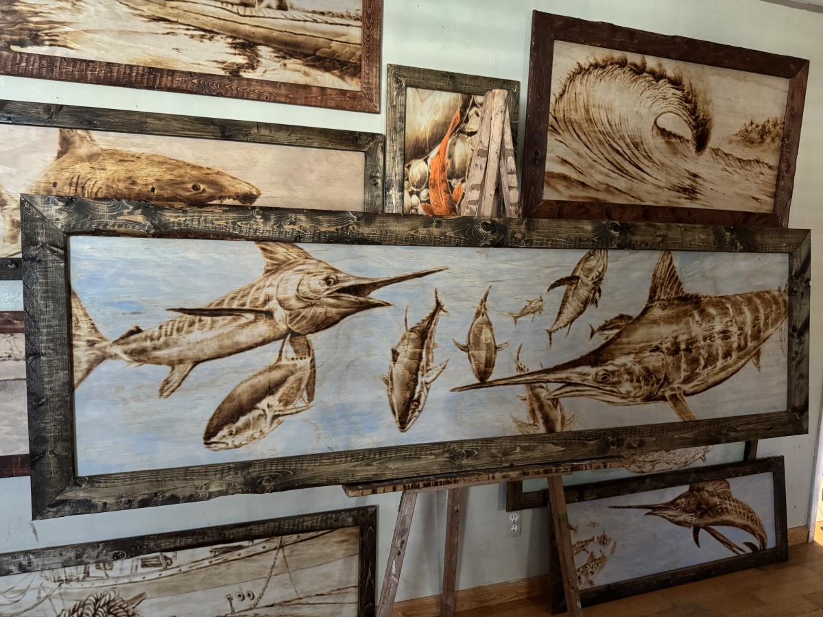 feeding frenzy picture