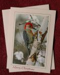 Red-bellied Woodpecker' notecard