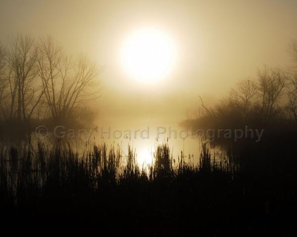 'Foggy Sunrise on Brenton Slough' - matted print picture