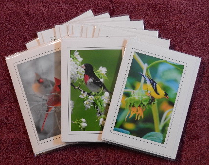 'Songbird' notecards - set of 9 cards picture