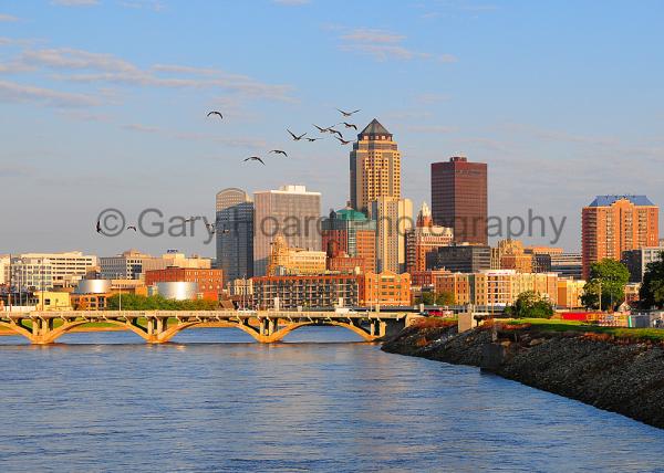'Des Moines and Geese' - matted print picture