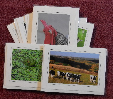 'Animals' notecards - set of 9 cards