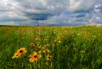 'Storm Clouds on Prairie' - print on metal