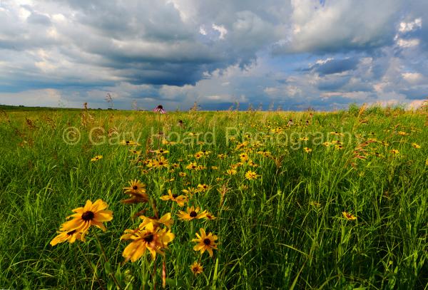 'Storm Clouds on Prairie' - print on metal picture