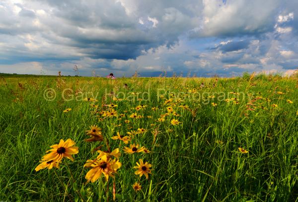 'Storm Clouds on Prairie' - print on metal