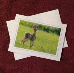 'Listening Fawn' - notecard