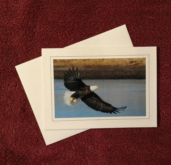 'Eagle' - notecard picture