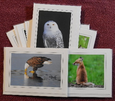 'Nature' notecards - set of 9 cards picture