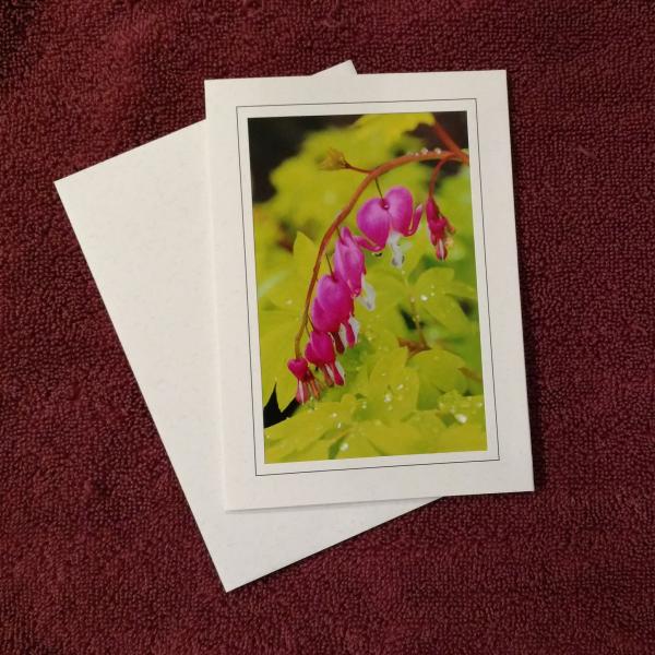 'Bleeding Hearts' - notecard