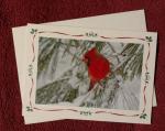 'Snowy Cardinal' notecard