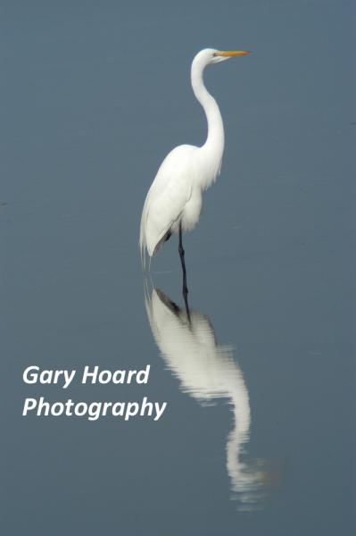 Gary Hoard Photography