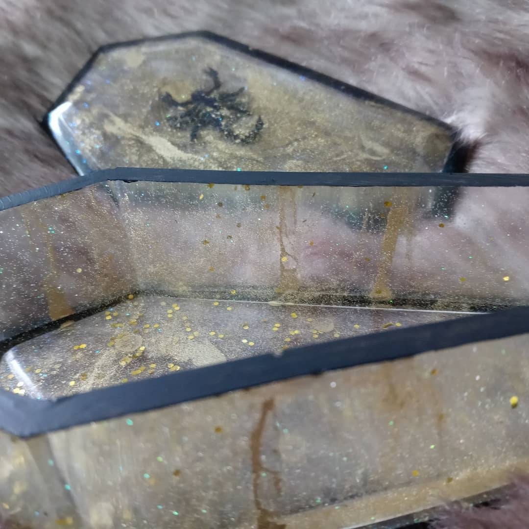 Scorpion Coffin Trinket Jewelry Box Resin picture