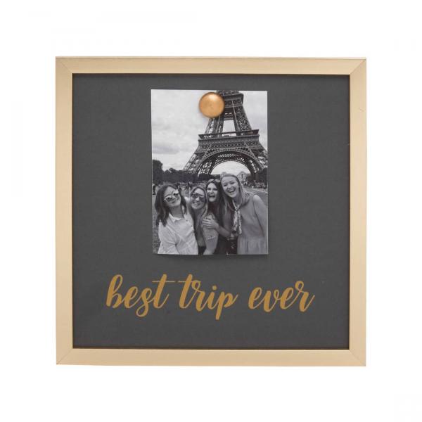 Best Trip Ever Picture Frame picture