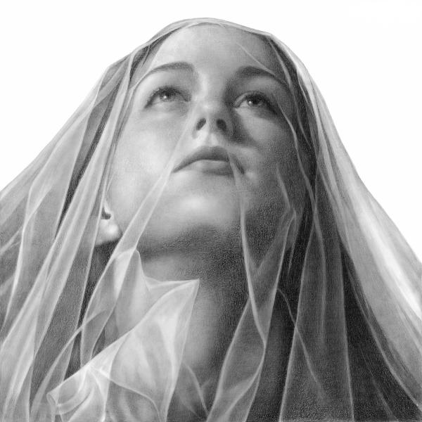 veil picture