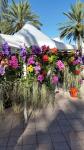R & R Orchids