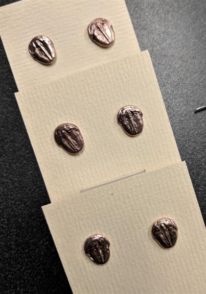 Trilobite Studs