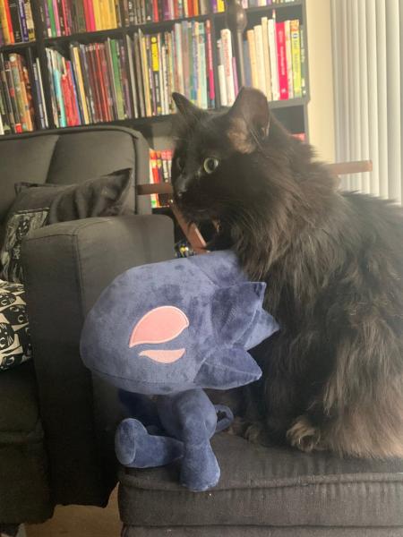 SALEM Plushie picture