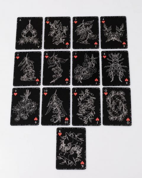 The Poisonous Floriography Playing Card Deck picture