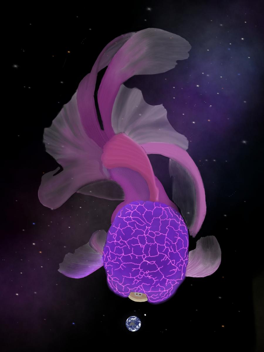 Art - Commission picture