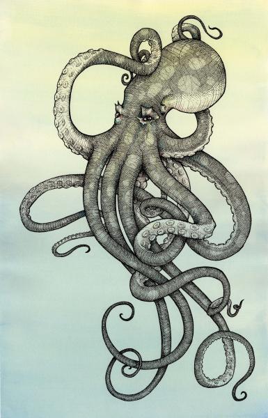 Quarto Octopus picture