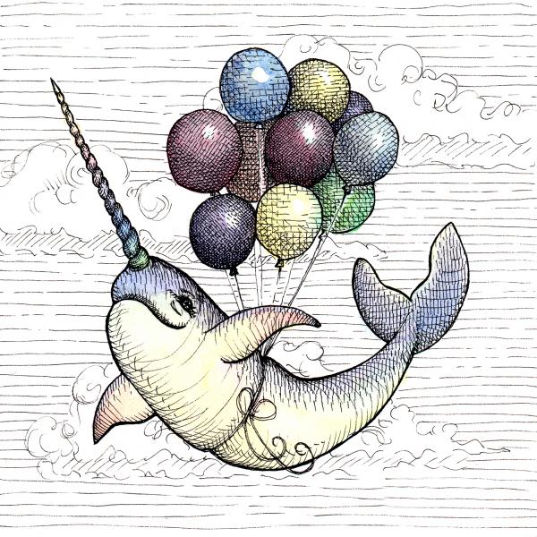 Flying Narwhal picture